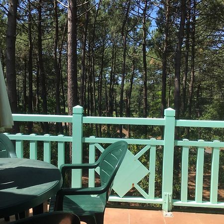 Apt T2 Calme Sur Golf, Piscine, Ocean 10 Min En Velo Lacanau Eksteriør bilde